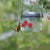 🌞Summer Funny Sale Buy 1 get 1 free - Hummingbird Feeder Mason Jar Three Ports