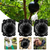 (🎉New Year Big Sale - 50% OFF) -Plant Root Growing Box